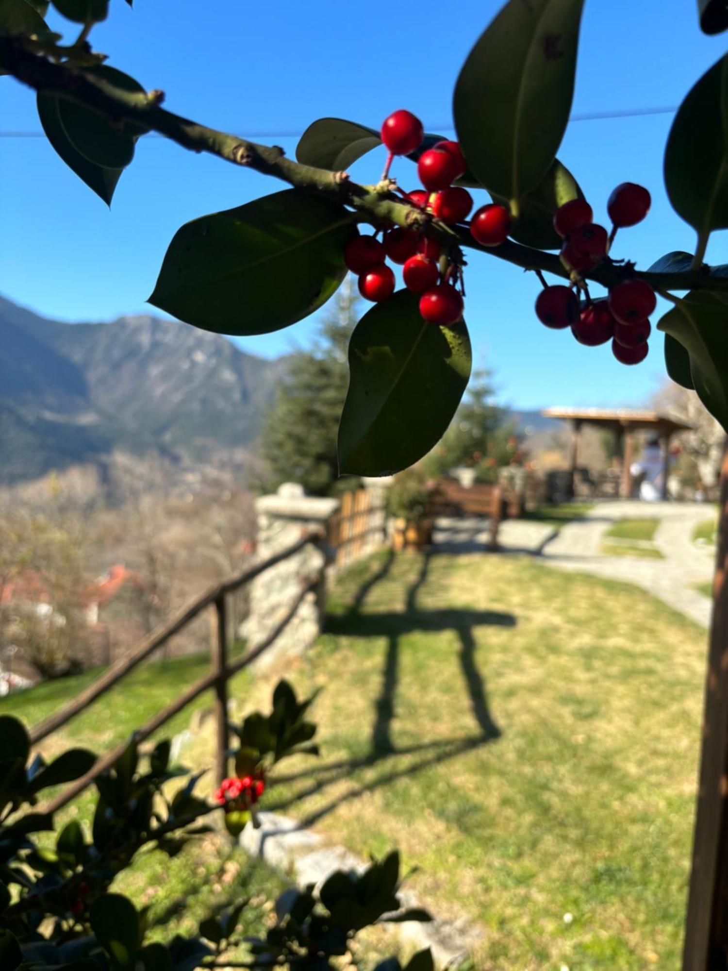 Πέτρινο Όραμα Hotel Kotronion  ภายนอก รูปภาพ